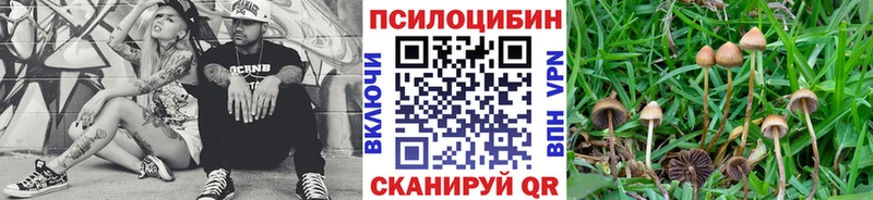 Купить  Гурьевск  Псилоцибиновые грибы Magic Shrooms 